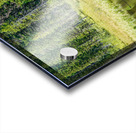 Summer Dip Acrylic print