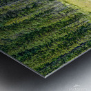 Summer Dip Metal print