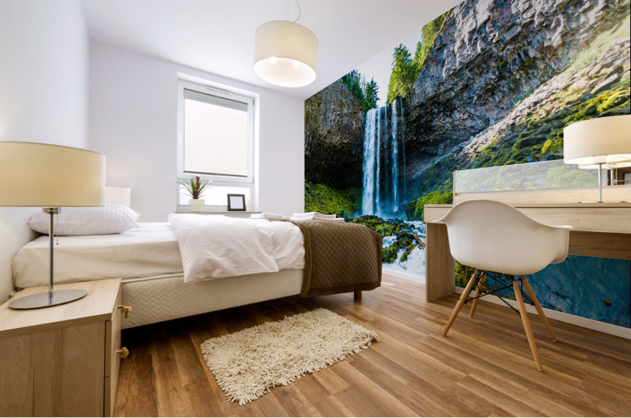 Tamarack Falls OR Mural print