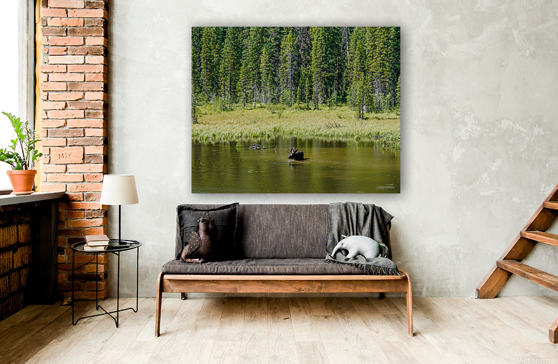 Summer Dip Reproduction