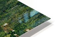 Annette Lake HD Metal print