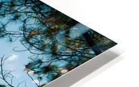 fallwindow HD Metal print