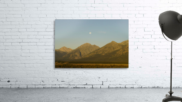 Desert Super Moon Wall Preview