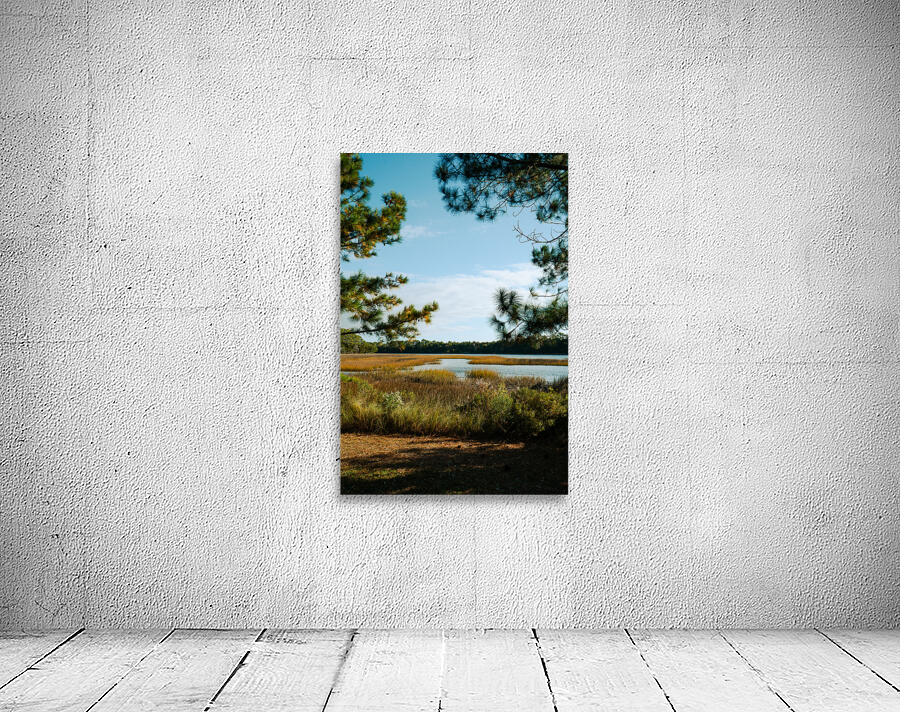 fallwindow Wall Preview