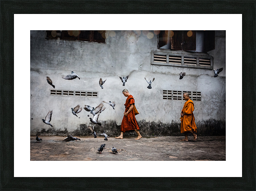 The flight Picture Frame print