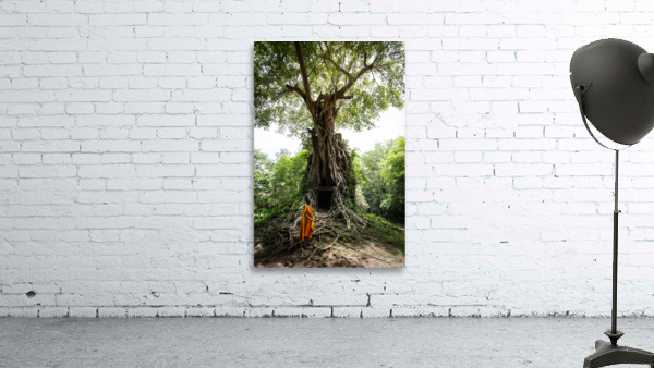 Contemplation Wall Preview