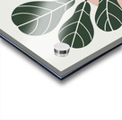Fiddle Leaf Fig Print 1 Acrylic print