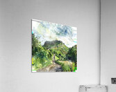 Mountain Landscapes 45 Acrylic Print
