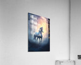 Fantasy Unicorns 11 Acrylic Print