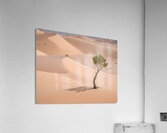 Timeless Desert Landscapes 74 Acrylic Print