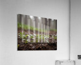 Atmospheric Weather Landscapes 66 Acrylic Print