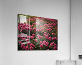Atmospheric Weather Landscapes 72 Acrylic Print