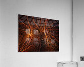 Cosmic Realms 27 Acrylic Print
