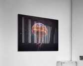 Cosmic Realms 31 Acrylic Print