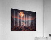 Cosmic Realms 13 Acrylic Print