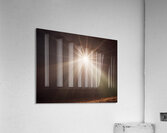Cosmic Realms 6 Acrylic Print