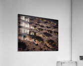 Cosmic Realms 45 Acrylic Print