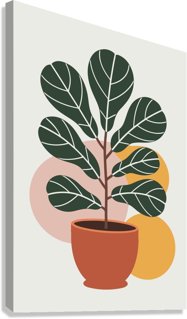 Fiddle Leaf Fig Print 1 Canvas Print