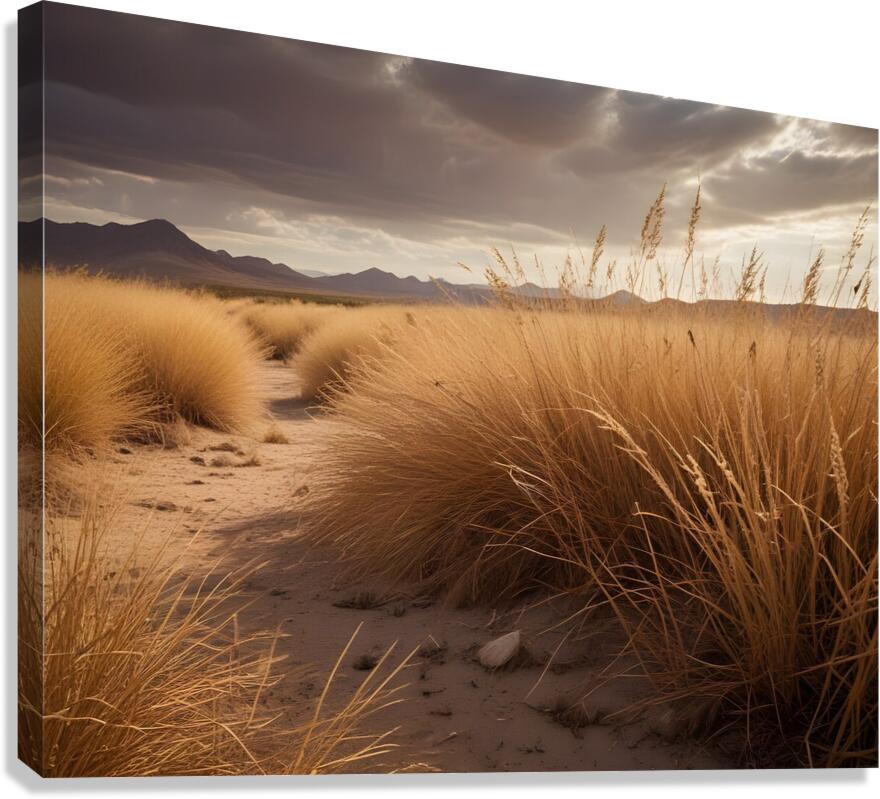 Timeless Desert Landscapes 36 Canvas Print