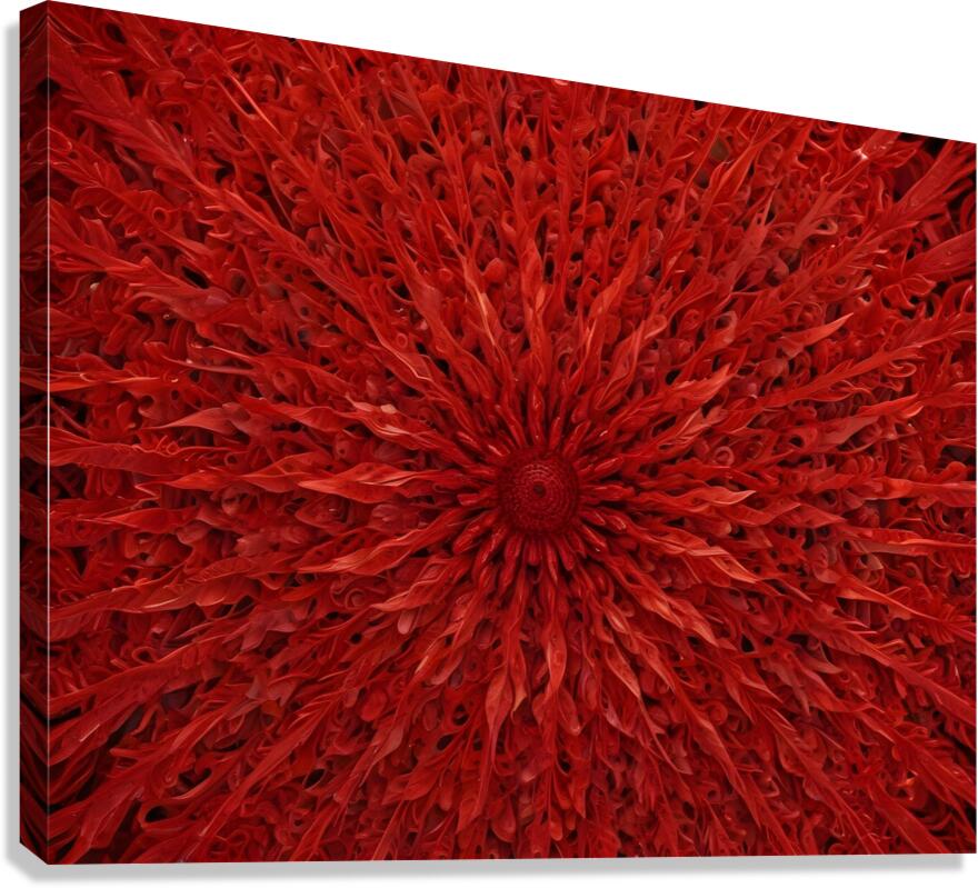 Cosmic Realms 5 Canvas Print
