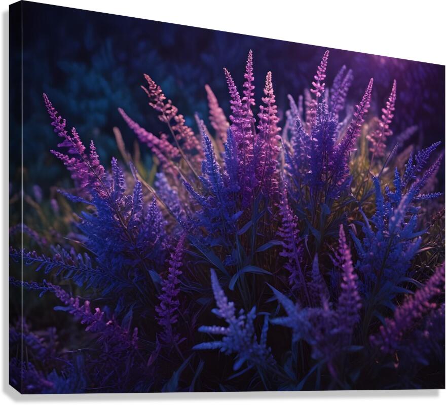 Cosmic Realms 36 Canvas Print