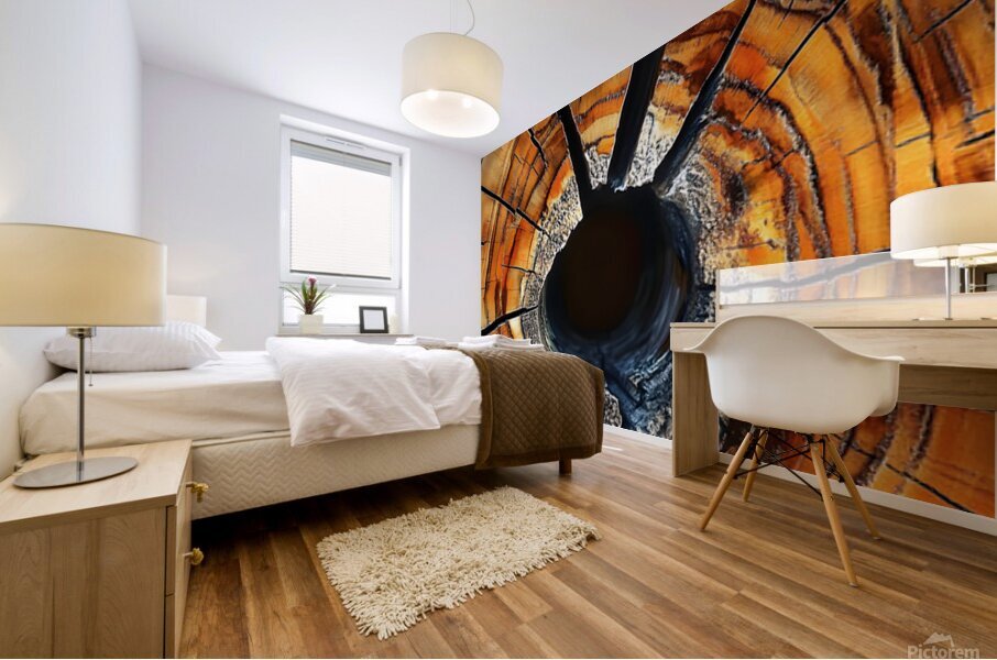 Wood Tree Rings 13 Mural print