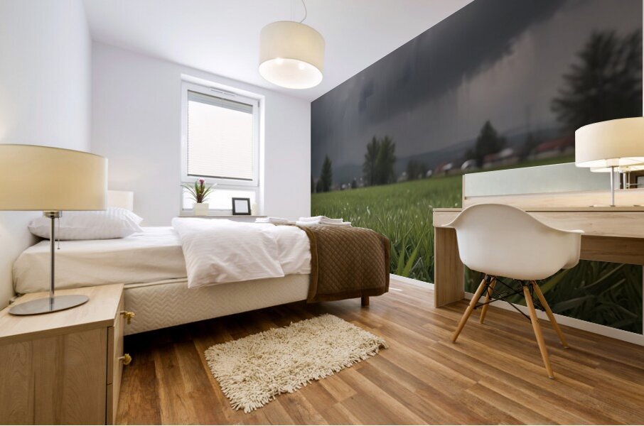 Atmospheric Weather Landscapes 49 Mural print