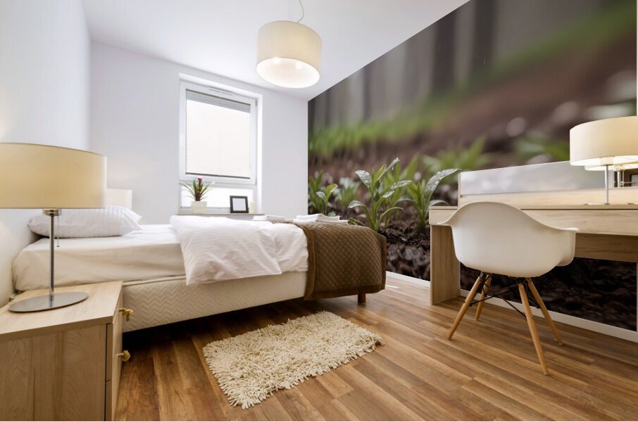 Atmospheric Weather Landscapes 66 Mural print