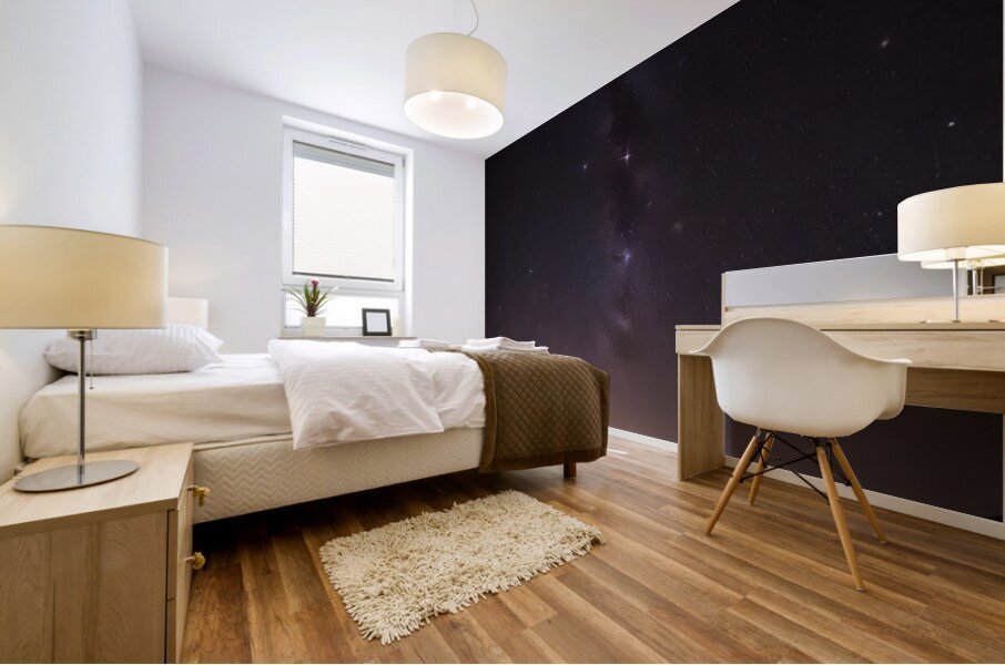 Cosmic Realms 8 Mural print