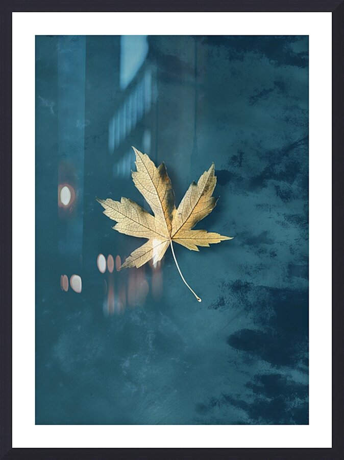 Copie de Leaf 3 Picture Frame print