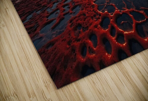 Beach Landscape 36 Nora studio puzzle