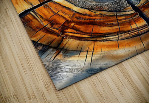 Wood Tree Rings 13 Nora studio puzzle