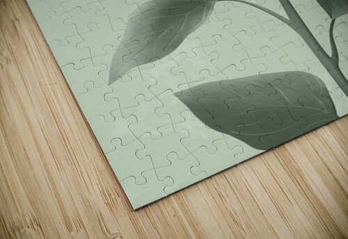 Copie de Flower Print 291 Nora studio puzzle