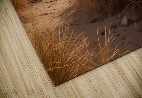 Timeless Desert Landscapes 36 Aura Gallery puzzle