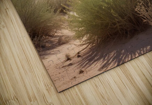 Timeless Desert Landscapes 21 Aura Gallery puzzle