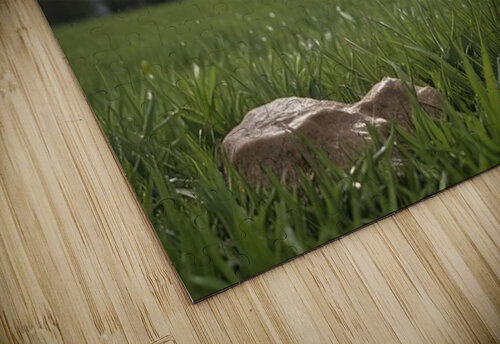 Atmospheric Weather Landscapes 49 Aura Gallery puzzle