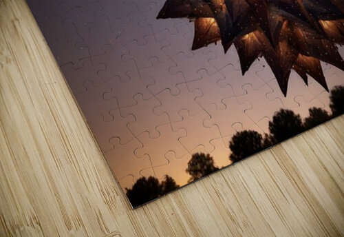 Cosmic Realms 37 Aura Gallery puzzle