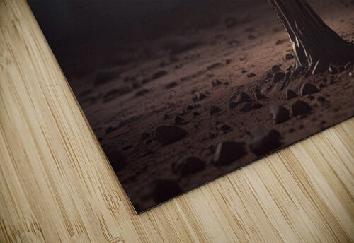 Cosmic Realms 4 Aura Gallery puzzle