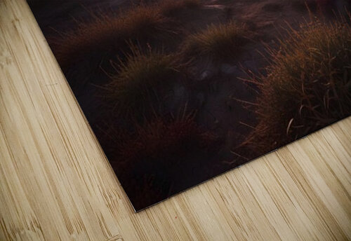 Cosmic Realms 69 Aura Gallery puzzle