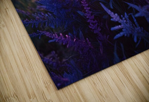 Cosmic Realms 36 Aura Gallery puzzle