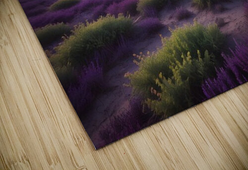 Cosmic Realms 17 Aura Gallery puzzle