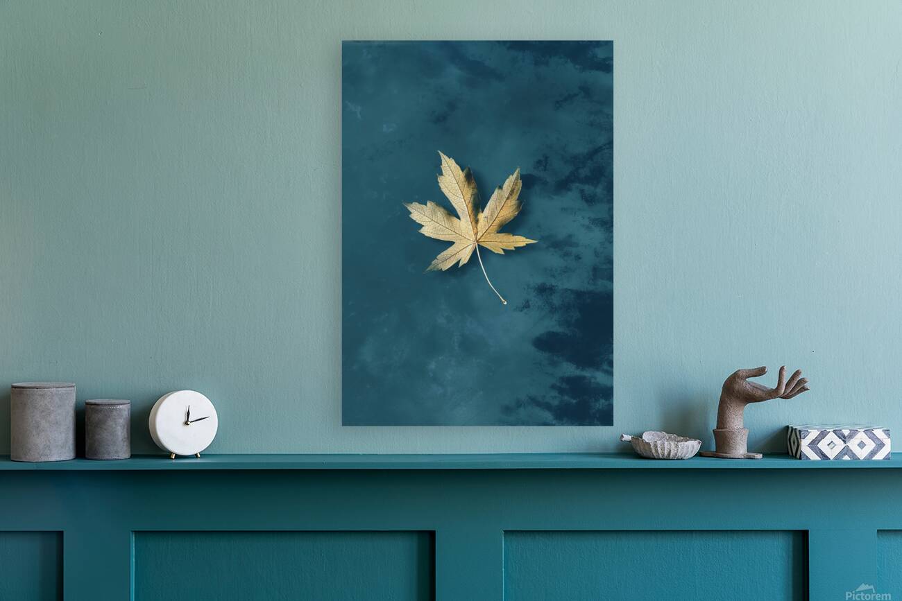 Copie de Leaf 3 Reproduction