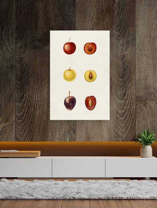 Copie de Kitchen print 65 by Nora studio
