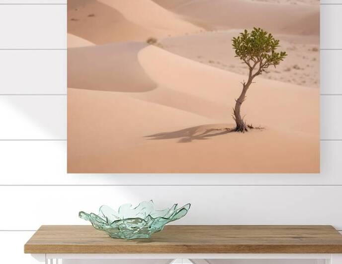 Timeless Desert Landscapes 74 Reproduction