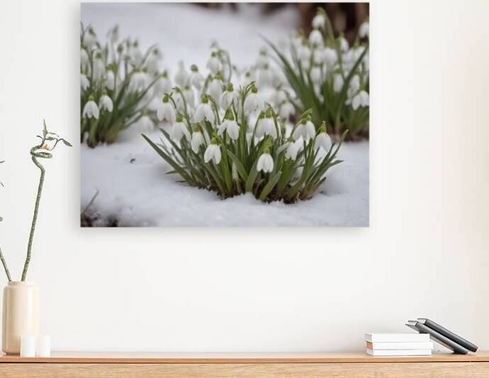 Elegant Floral Macro Wall Art Print 19 by Aura Gallery