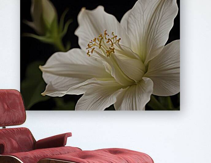 Elegant Floral Macro Wall Art Print 27 by Aura Gallery