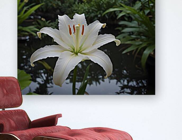 Elegant Floral Macro Wall Art Print 32 by Aura Gallery