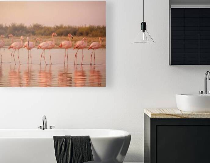 Golden Horizon – Sunsets & Sunrises Wall Art Collection 26 by Aura Gallery