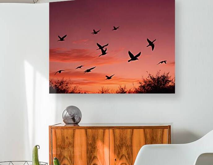 Golden Horizon – Sunsets & Sunrises Wall Art Collection 36 by Aura Gallery