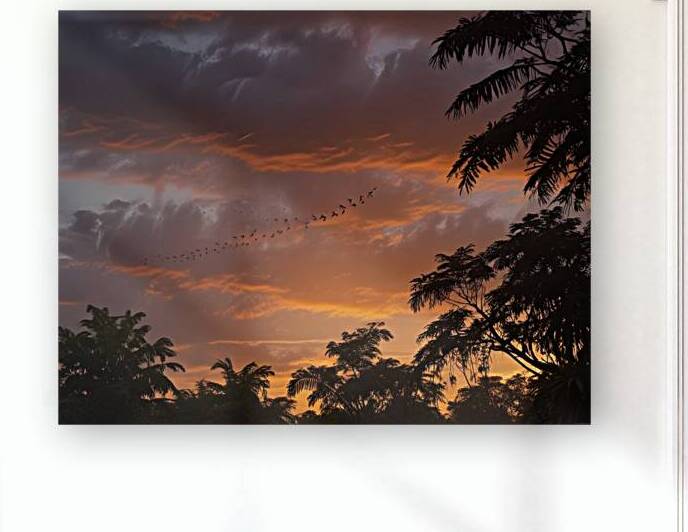 Golden Horizon – Sunsets & Sunrises Wall Art Collection 20 by Aura Gallery